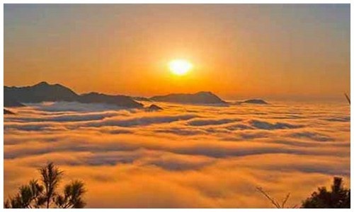 2026最新龙岛异兽模拟器安卓苹果都能玩吗？附官网新闻查看方式