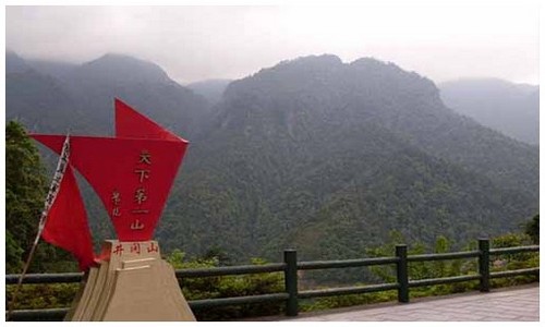 2026最新龙岛异兽模拟器正版下载地址分享？附官网活动入口